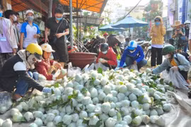 Loại quả có hàm lượng vitamin C gấp 5 lần quả cam