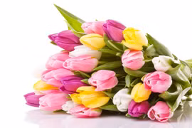 7 ngày tới đây, 3 con giáp vượng vận quý nhân, tiền tiêu không hết