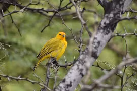 Tháng 8, 3 con giáp chịu thương chịu khó sẽ kiếm được tiền