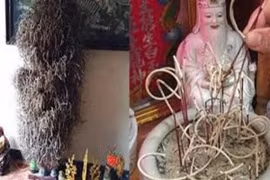 Tết đến, nắm rõ 5 bước tỉa chân nhang để không phạm đại kỵ