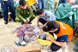 Kiểm tra cơ sở giao hàng nhanh, phát hiện gần 12kg pháo nổ