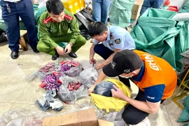 Kiểm tra cơ sở giao hàng nhanh, phát hiện gần 12kg pháo nổ