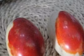 Đi đào măng phát hiện trứng đá dính máu, ai dè báu vật 