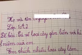 Bài văn tả loài cây kỷ niệm thời tiểu học khiến cộng đồng mạng dở khóc dở cười