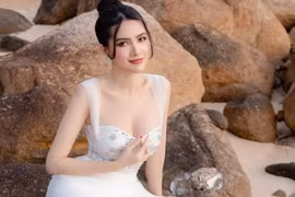 Chân dung Hoa hậu Phan Thị Mơ bị kiện tranh chấp đất