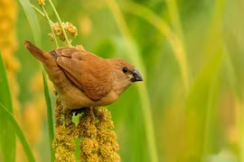 Người sinh ngày Âm lịch này giỏi giao tiếp, sự nghiệp thuận buồm xuôi gió