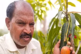 Liều trồng thứ đắt đỏ nhờ clip trên mạng, ông nông dân sắp hốt bạc