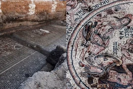 Khai quật “Bức tranh báu vật” khổng lồ ở Syria, bí mật dần hé lộ 