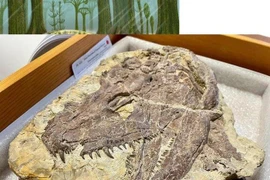 Tổ tiên “quái thú” của loài người đáng sợ hơn khủng long bạo chúa