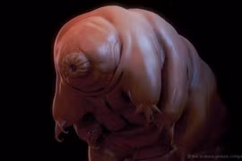 Phát hiện "công chúa ngủ trong rừng" đóng băng 30 năm bất ngờ sống lại 