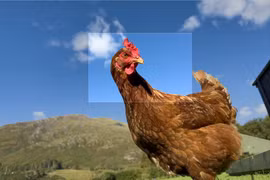 Đổ gục trước điểm nhấn đáng giá nhất trên mẫu iPhone 14 Pro