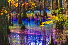 Mê đắm cảnh thần tiên ở “đầm lầy cầu vồng” đẹp nhất thế giới 