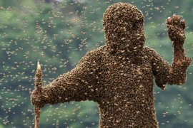 "Bộ ba vũ khí côn trùng” ghê gớm nhất từng xuất hiện trong lịch sử 