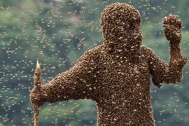 "Bộ ba vũ khí côn trùng” ghê gớm nhất từng xuất hiện trong lịch sử 