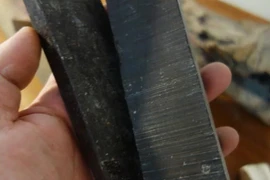 Vì sao gỗ đen châu Phi là loại gỗ đắt giá nhất thế giới? 