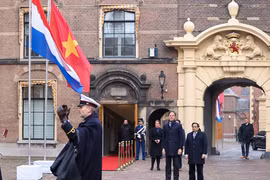 Thủ tướng Hà Lan Mark Rutte chủ trì lễ đón chính thức Thủ tướng Phạm Minh Chính