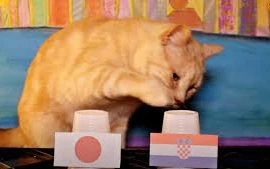 Mèo Sam, thần rùa tiên tri tỉ số World Cup 2022 ngày 5 - 6/12