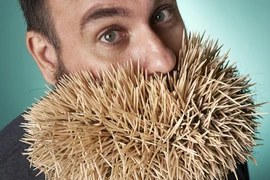 Những kỷ lục Guinness “điên rồ” bậc nhất trên thế giới