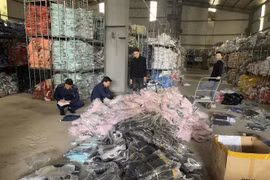 Ăn theo World Cup, kinh doanh 30.000 bộ thể thao giả mạo nhãn hiệu