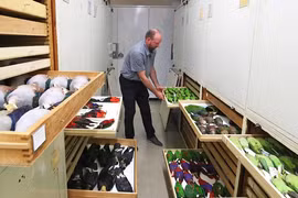 Chiêm ngưỡng bộ sưu tập tiêu bản chim lớn nhất thế giới