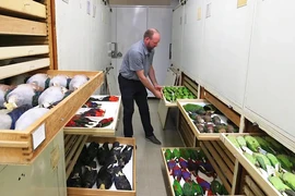 Chiêm ngưỡng bộ sưu tập tiêu bản chim lớn nhất thế giới