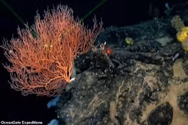 Sự thật về vệt sáng ma quái xuất hiện cạnh xác tàu Titanic