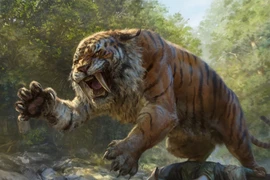 Nếu hổ răng kiếm vẫn sống đến ngày nay, chuyện gì sẽ xảy ra?