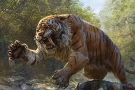 Nếu hổ răng kiếm vẫn sống đến ngày nay, chuyện gì sẽ xảy ra?