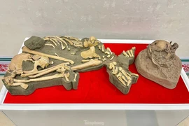 Tận mục di cốt người tiền sử trong hang động núi lửa Đắk Nông