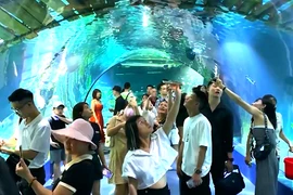 Cận cảnh thủy cung trong nhà lớn nhất Việt Nam