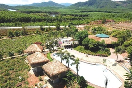 Farmstay - mô hình tiềm ẩn nhiều rủi ro: Cẩn trọng khi đầu tư 