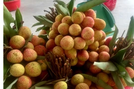 4 vạn tấn vải thiều chờ bán, loại 90.000 đồng/kg vẫn đắt khách