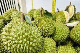 Rộ mùa đụng hàng Thái tại Trung Quốc, giá sầu riêng Việt lao dốc