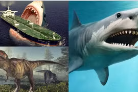 Bí ẩn về quái thú cổ đại Megalodon thống trị đại dương