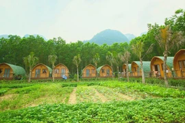 Farmstay: Tiềm năng... nhưng nhiều vướng mắc
