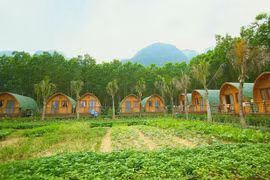 Farmstay: Tiềm năng... nhưng nhiều vướng mắc