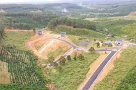 Lâm Đồng: Xử lý vi phạm phân lô, tách thửa trái phép ra sao?