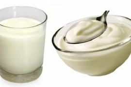 Uống một ly sữa hay một hộp sữa chua mỗi ngày sẽ tốt hơn?