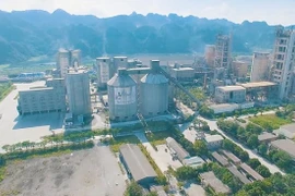 Nhờ đâu Vicem Bút Sơn toàn trúng thầu lớn, tiết kiệm cực thấp?