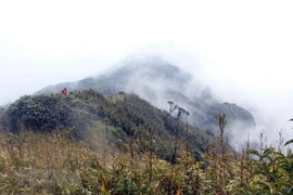 Vẻ đẹp trên đỉnh Bạch Mộc Lương Tử giữa núi rừng Tây Bắc