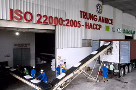 Cổ phiếu vào diện kiểm soát, lợi nhuận Gạo Trung An ra sao?