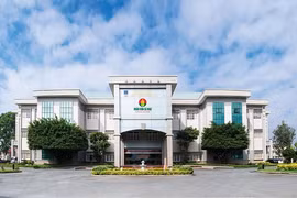 Khai thiếu hàng khi thông quan, bị phạt, Đạm Cà Mau kinh doanh thế nào?