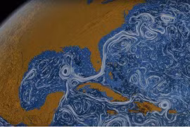 Điều gì xảy ra với trái đất nếu nước biển trở thành nước ngọt? 