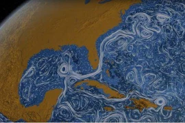 Điều gì xảy ra với trái đất nếu nước biển trở thành nước ngọt? 