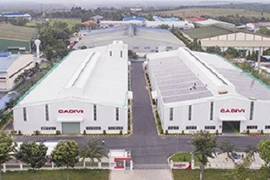 Vi phạm thuế, bị xử phạt hơn 1 tỷ, Cadivi kinh doanh ra sao?