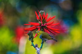 Sinh vào tháng Âm lịch này quyến rũ, khéo léo, cuộc đời suôn sẻ, phú quý