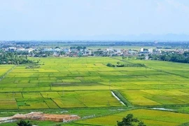 Phương pháp định giá đất theo nguyên tắc thị trường chưa thực sự rõ ràng