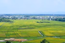 Phương pháp định giá đất theo nguyên tắc thị trường chưa thực sự rõ ràng