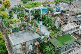 Người phụ nữ 45 tuổi biến mái nhà thành khu vườn ấn tượng