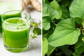 3 sai lầm cần tránh khi ăn rau diếp cá bạn nên biết